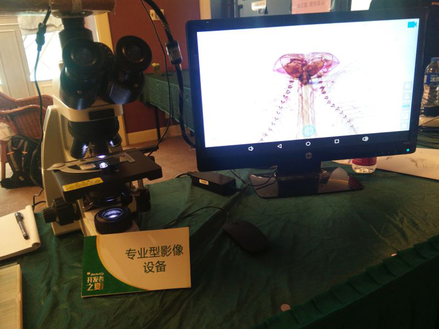 JDB电子